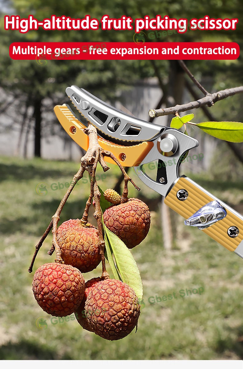 Fruit Picker Tree Branch Cutter Telescopic Pruning Saw Pemetik Buah ...