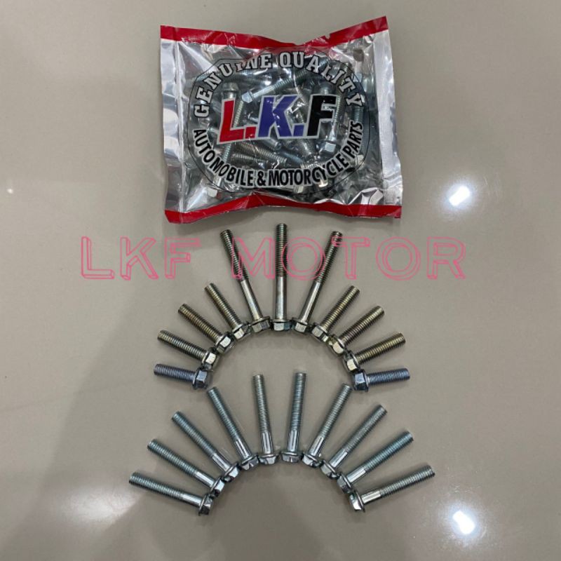 KRISS 1// 2//110//120/ KRISTAR ENGINE SCREW SET MODENAS KRISS110 BUY ...