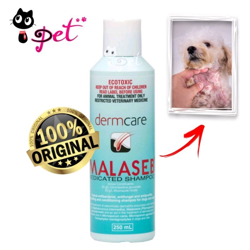 Malaseb Medicated Shampoo for Dogs & Cats 250 ml / bottle ( 100