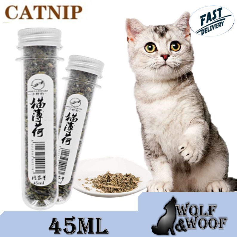 Pure Catnip Test Tube / Cat Mint Cat Snacks Digest Hairballs Cat Grass