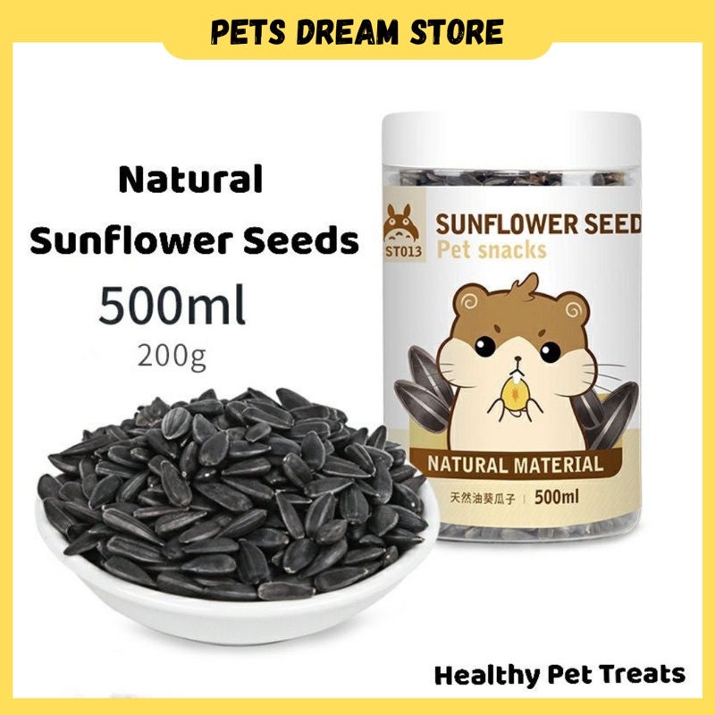 Chinchilla sunflower seeds sale