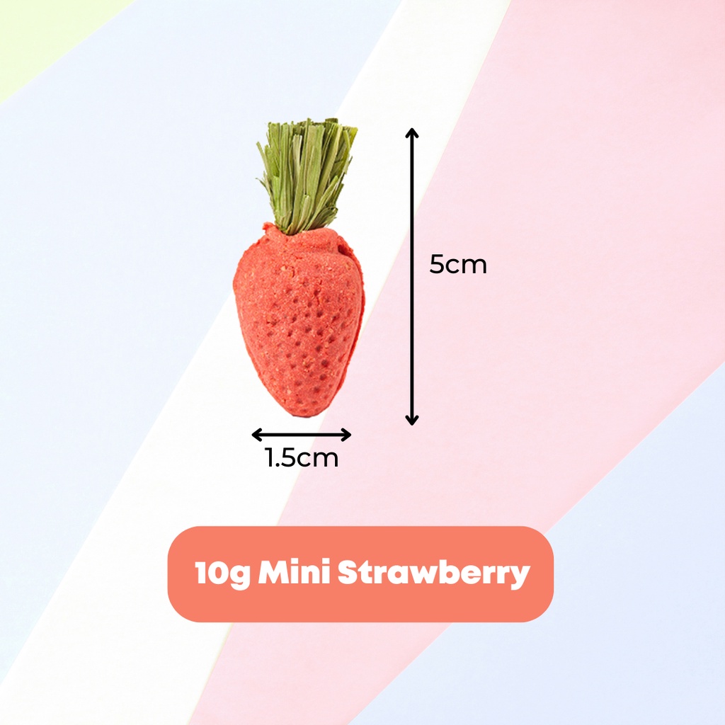 【NEW】Natural & Nutritious Mini Carrot/Strawberry/Tart Molar Snack for ...