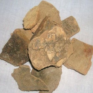 Varuna tree bark / powder (Crotaeva Nurvala) Three Leaved Caper Barun ...