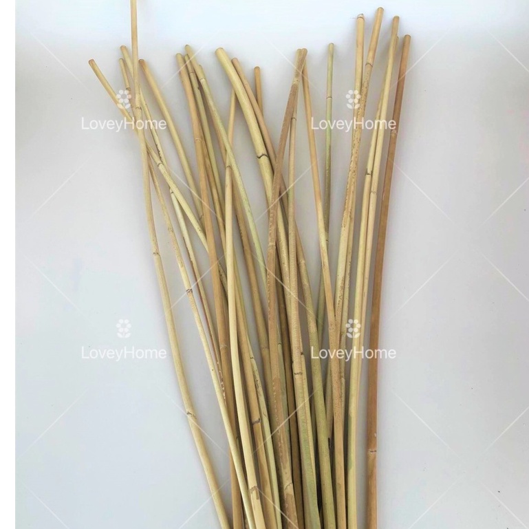 75cm-80cm Natural Sega Stick Rattan Bamboo Cane Titicane Rotan Rottan ...