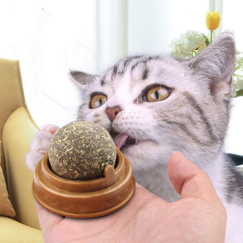 😺READY STOCK😺Pet Catnip Mint Ball | Shopee Malaysia