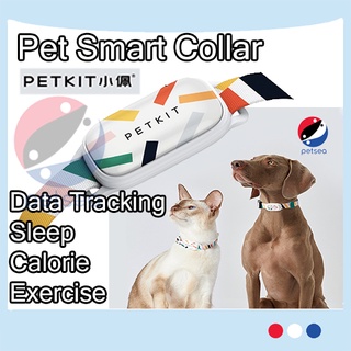 Pet shop finder collar