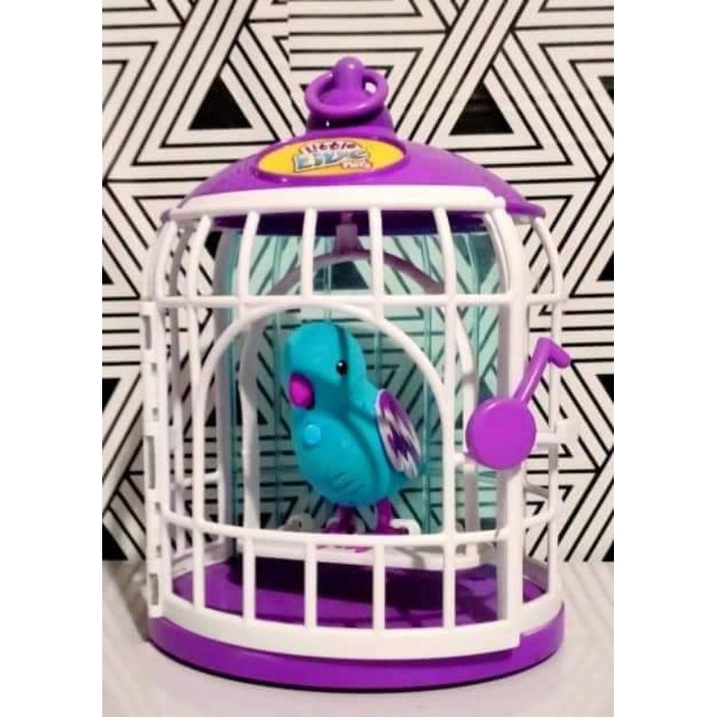 Little live pet birds | Shopee Malaysia