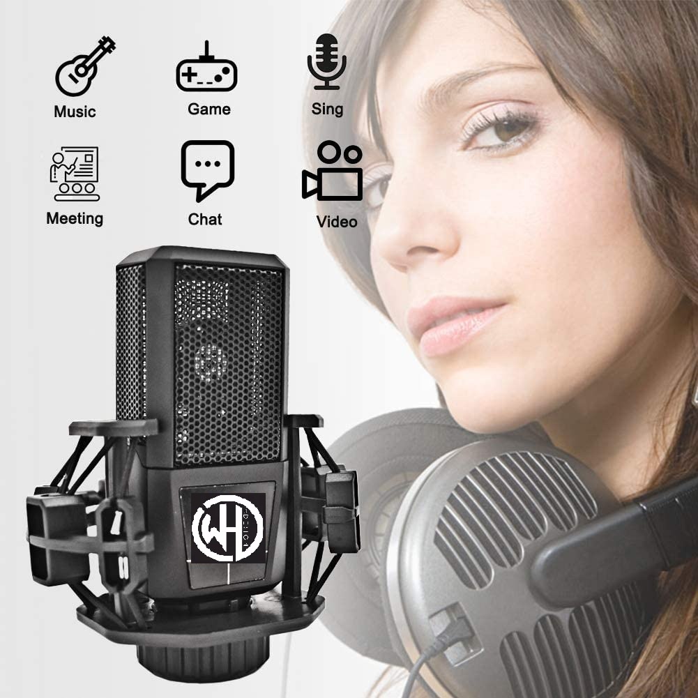 Professional Metal Voice Recording XRL Studio Recording Condenser ...