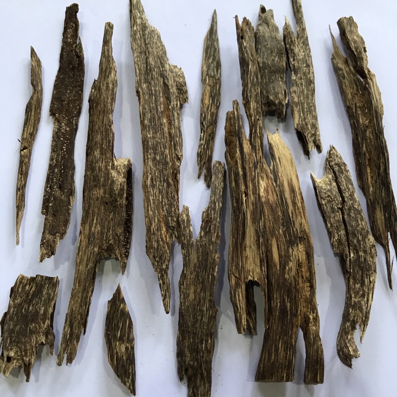Oud Chips Hirta A3 (per gram) Shopee Malaysia