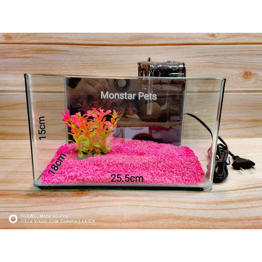 *Desktop Aquarium Set* L Size 3mm Thick Curve Glass Fish Tank Aquarium ...