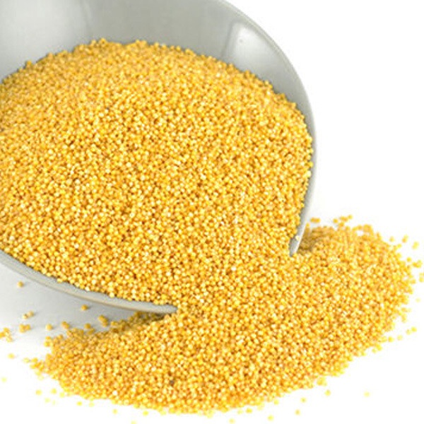 FOXTAIL MILLET 小米 (100G / 300G / 500G / 1KG) Shopee Malaysia