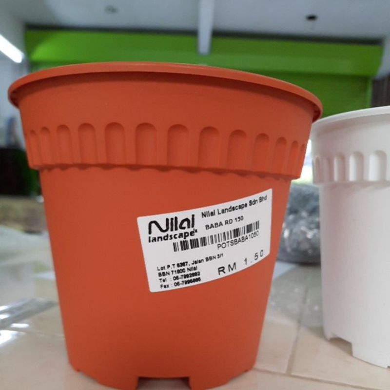 NLSB - pasu bulat putih/cotta (baba pasu bulat kecil)untuk pelbagai ...