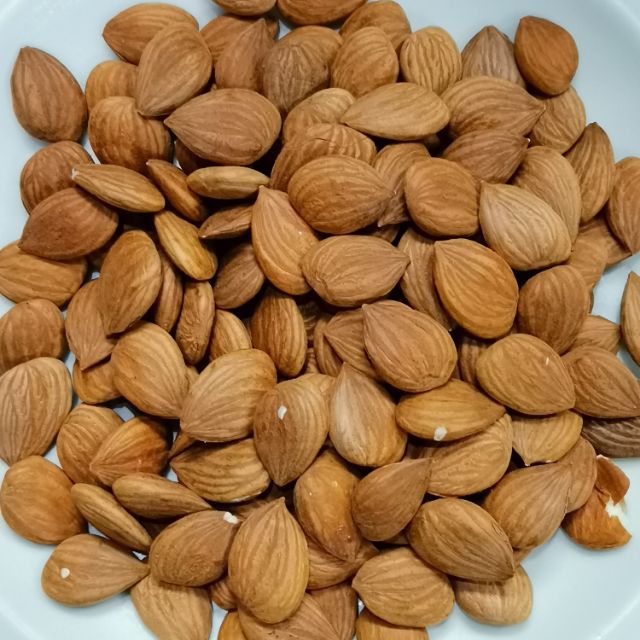 Bitter Apricot Kernels 200g 中国北杏仁（苦杏仁） | Shopee Malaysia