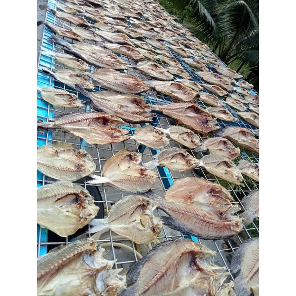 Ikan Masin Campur Ready Stock Shopee Malaysia