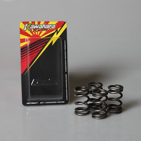 Honda Sonic Valve Spring - CBX - GTR Kawahara | Shopee Malaysia