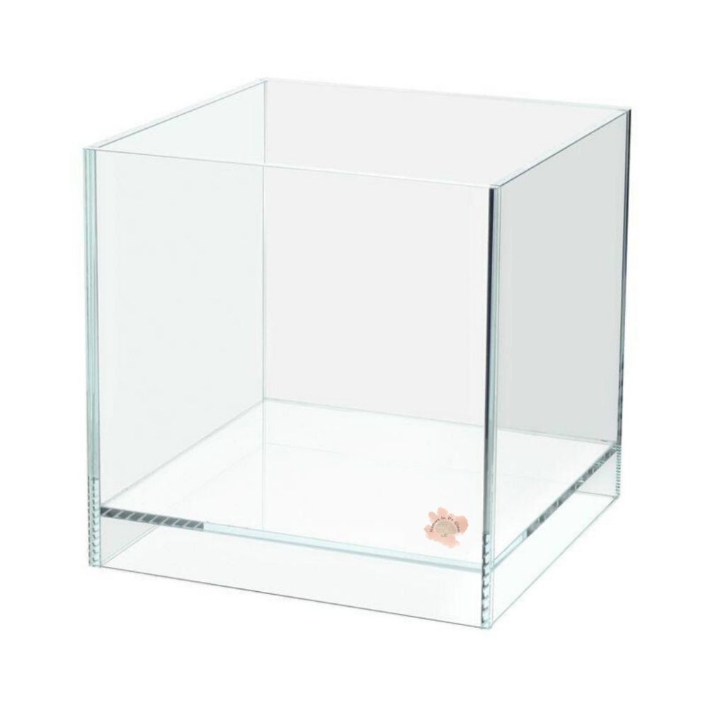 [Tank only] Crystal Clear Glass Line Up Rimless Tank (Terrarium ...