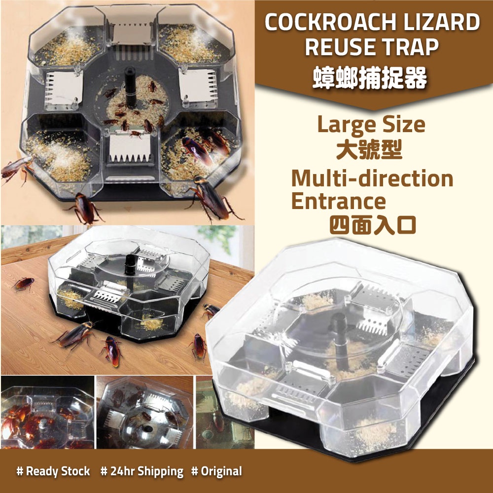 Lizard Trap Cockroach Trap Box Reusable Perangkap Lipas Cicak Kotak 蟑螂壁虎捕捉器