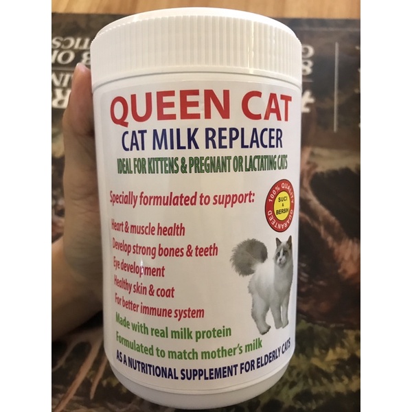 Feline milk outlet replacer