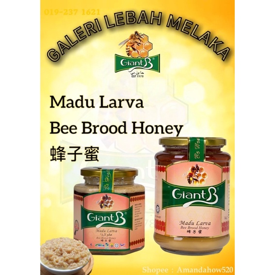 Giant B Honey ( Bee Brood Honey / Madu Larva 蜂子蜜 ) 500gm & 1000gm ...