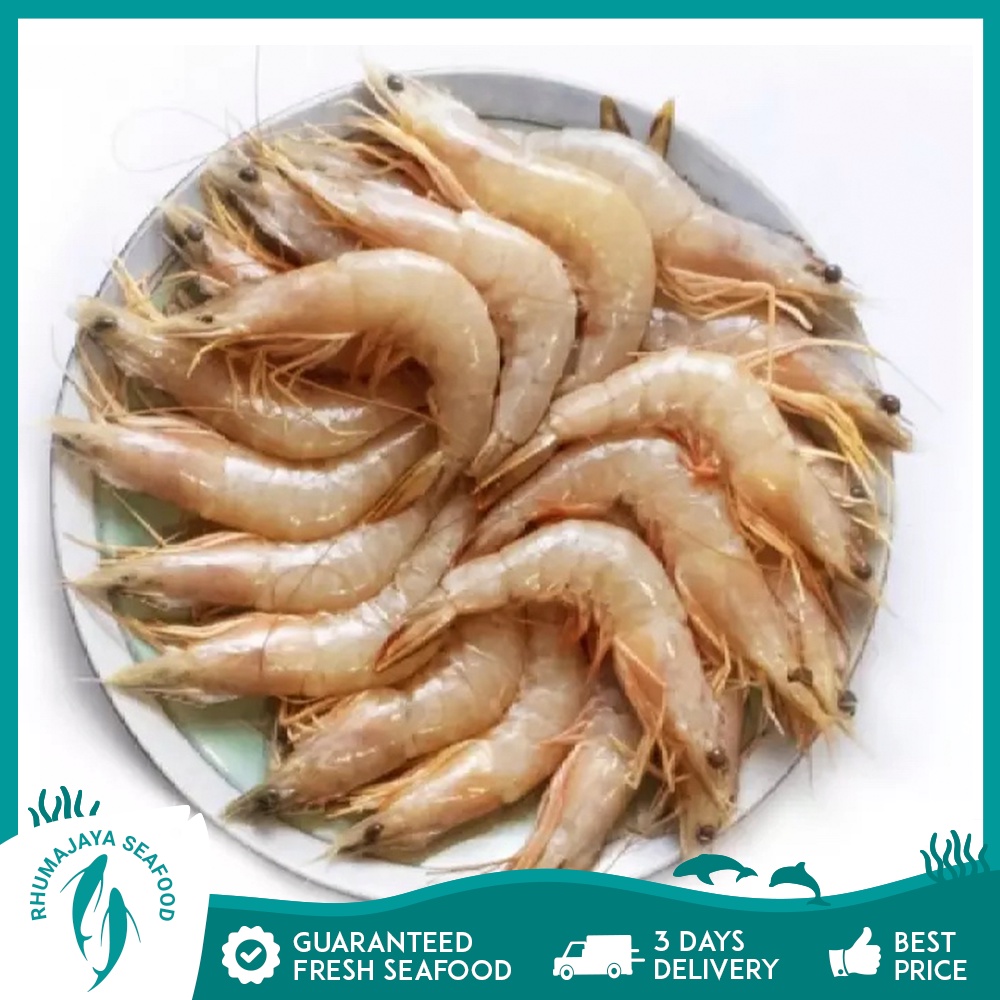 White Prawn 700gm+-/Block | Rhumajaya Seafood | Shopee Malaysia