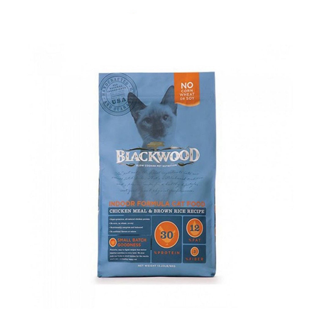 Blackwood kitten best sale