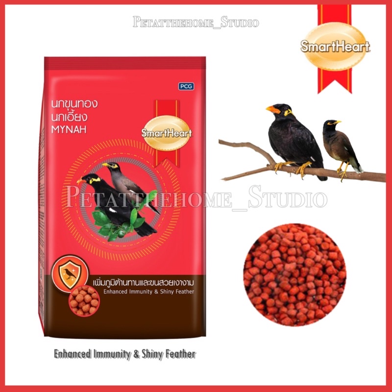 Smart Heart MYHAH Bird Food Makanan Burung MYNAH 400g Shopee Malaysia