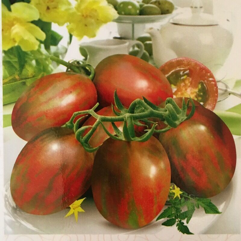 【Fresh seed】 Cherry tomatoes new colorful waterfall tomato seeds spring ...