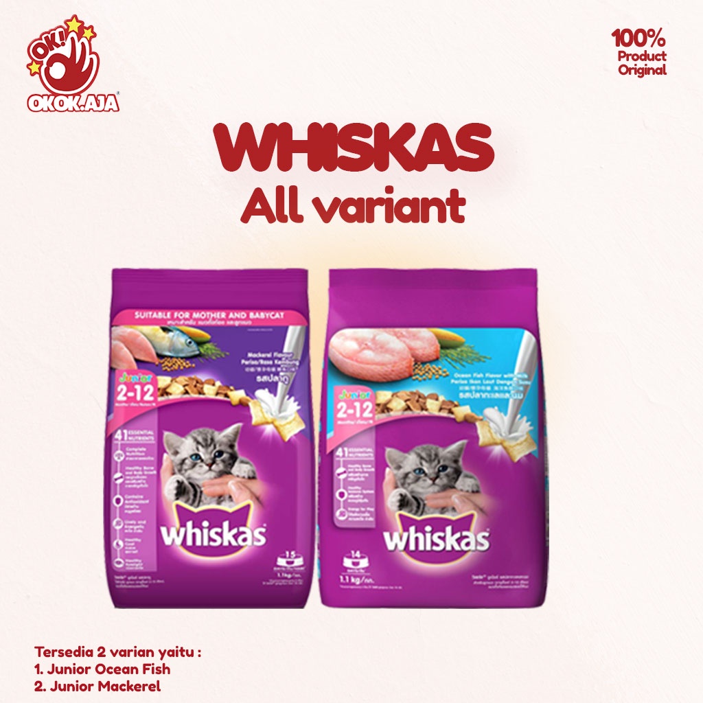 Premium WHISKAS JUNIOR Dry Cat Food 1.1kg Shopee Malaysia