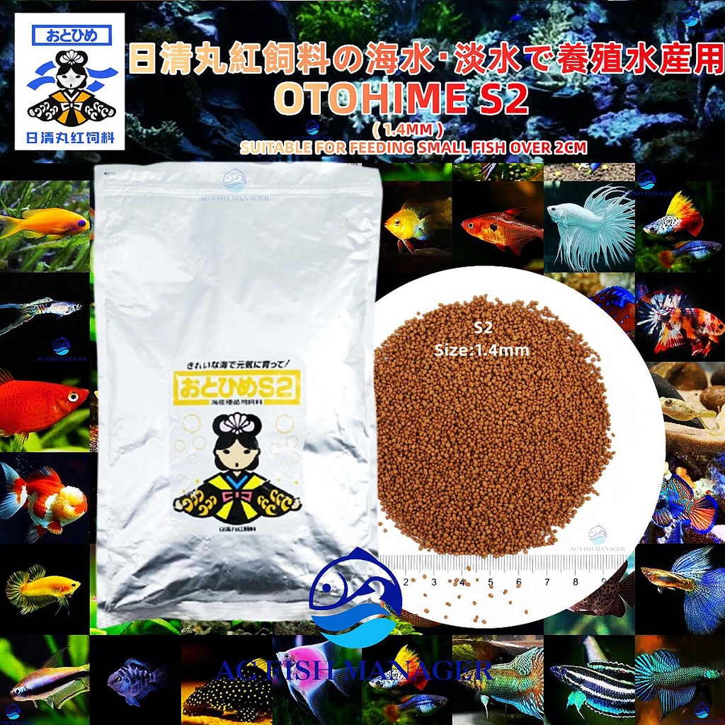 OTOHIME S2 1KG/500g (1.4mm) Repack [Marubeni Nisshin Feed 日清丸红饲料 ...