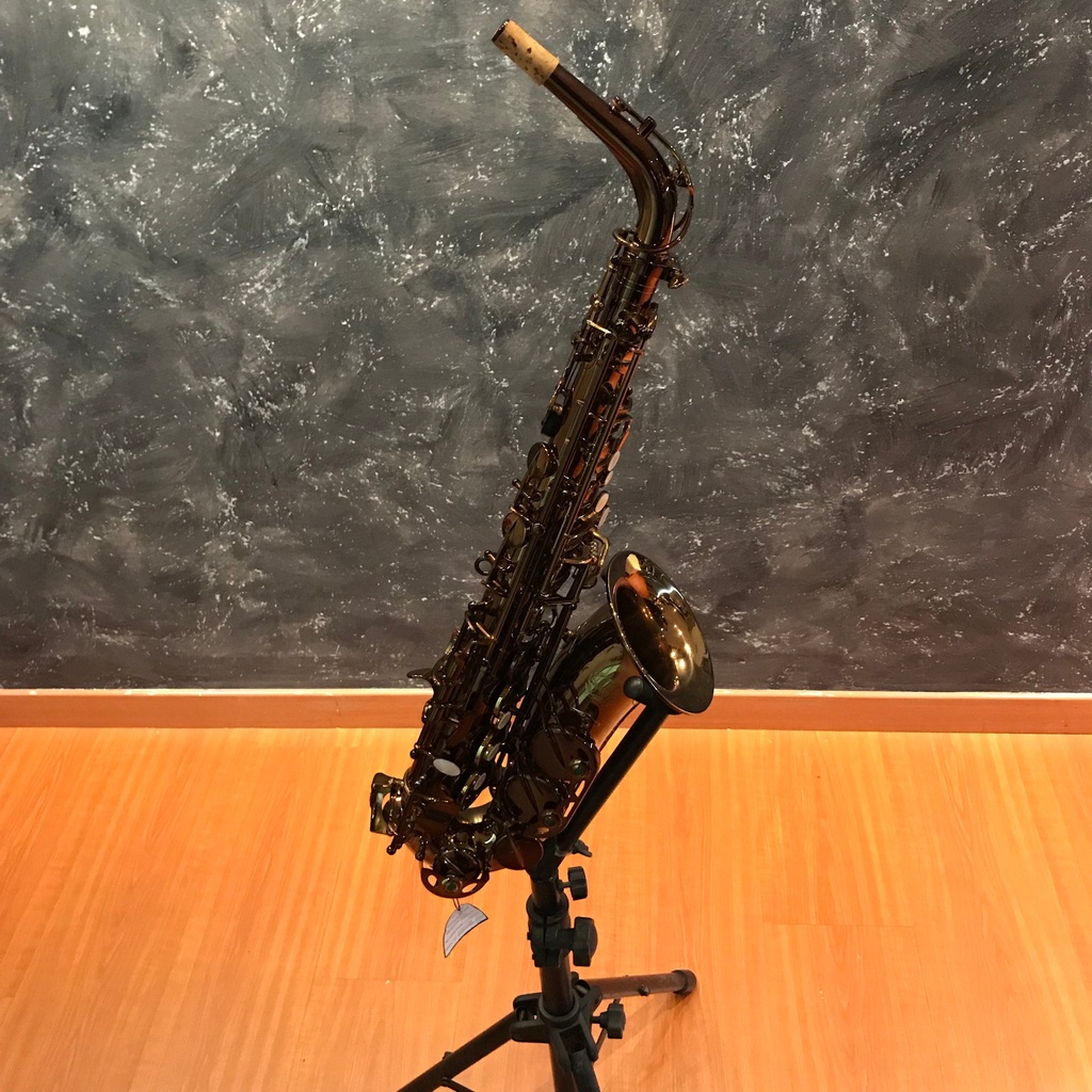 Chateau Alto Saxophone Professional Model VAS500DE Dark lacquer finish