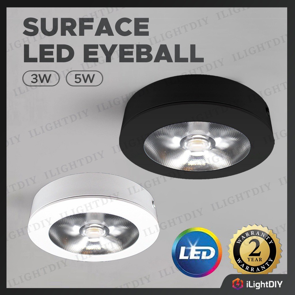 Flush mount store eyeball light