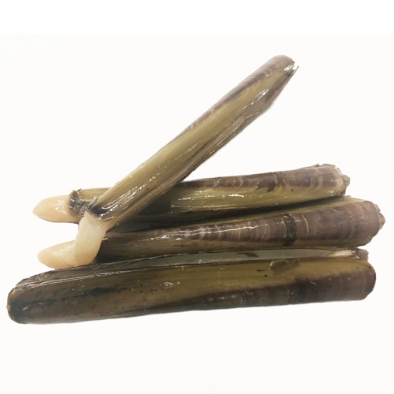 Razor Clam /Bamboo Clam/ Pepahat (1kg) | Shopee Malaysia