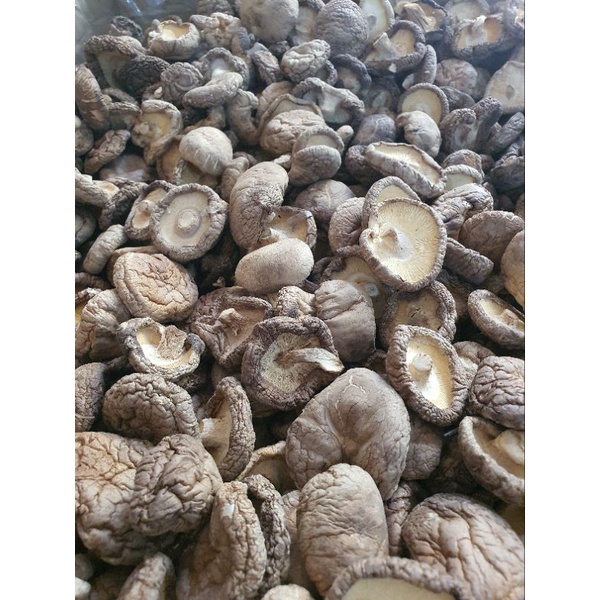 Shiitake Mushrooms Are Dry, Thick, Even, Beautiful, Bright White Flesh