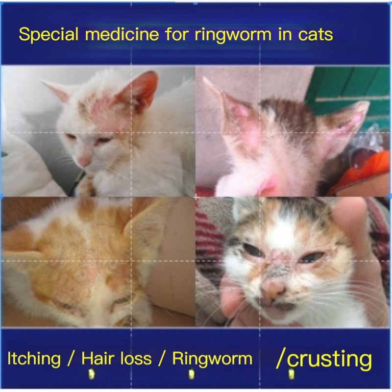 Treatment of cats cat moss cat ringworm medicine external spray pet