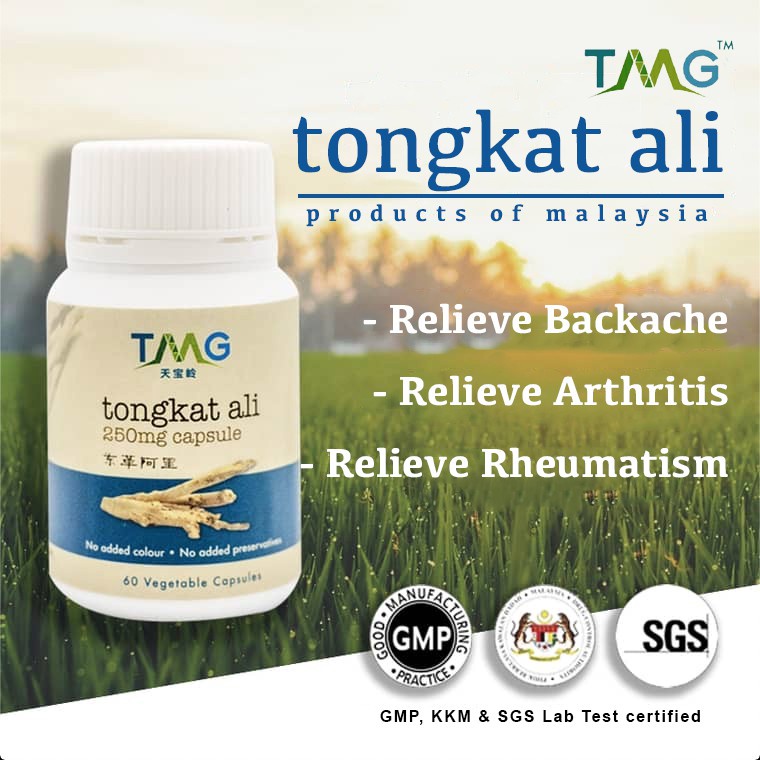 Trial Pack Repacked TMG Tongkat Ali Asli Pure Kapsul (Proses Dari ...