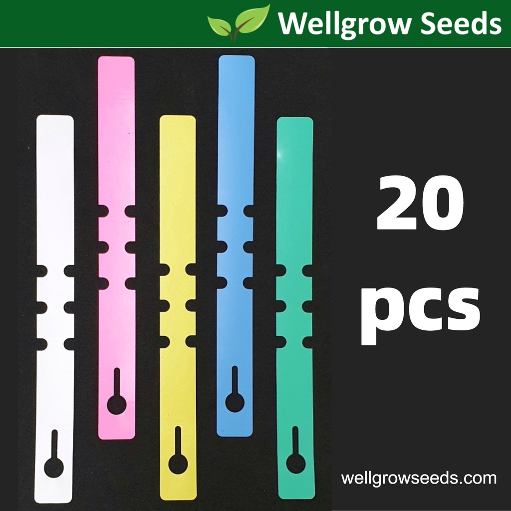 20pcs Plant Label/Plant Tag/Tree Label/Fruit Marker/Penanda Pokok ...