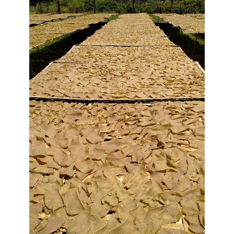 Keropok ikan keping besar harga borong 5kg | Shopee Malaysia