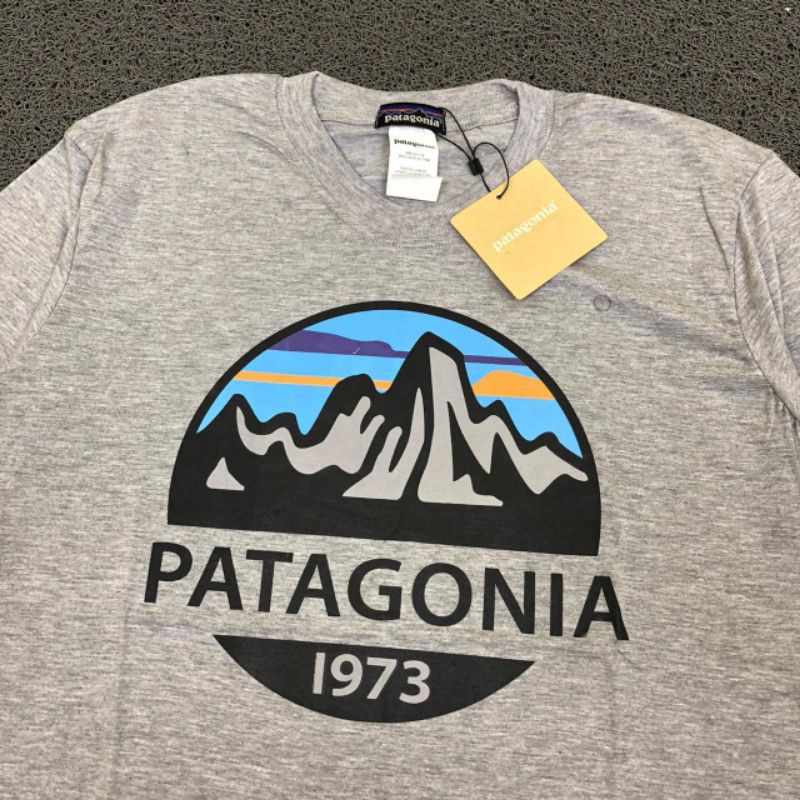 Patagonia 1973 logo t-shirt best sale