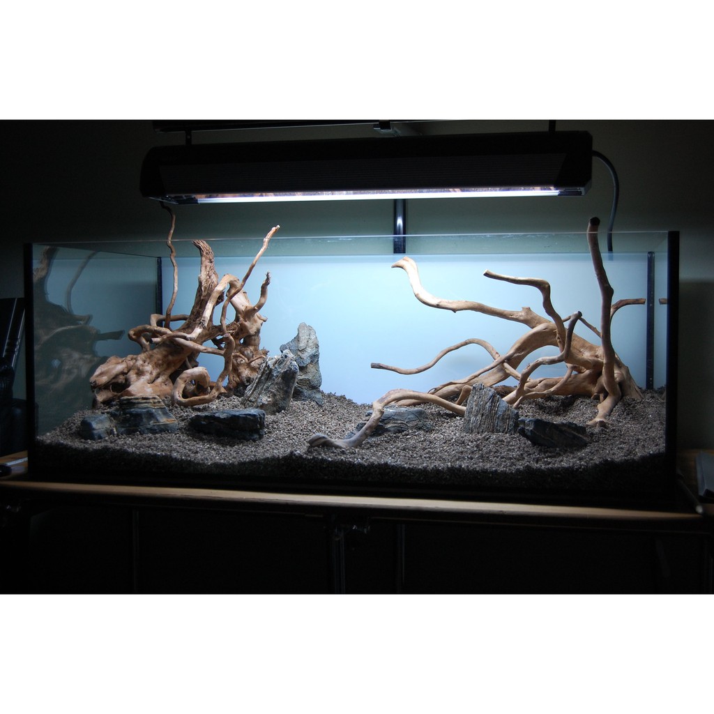 Aquarium 2024 wood decor