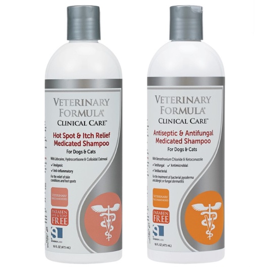 Veterinary antifungal hot sale shampoo