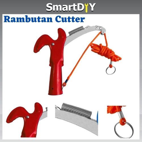 2 Way Rambutan Cutter Tree Pruner Trimmer Shear Rambutan Shear Gunting ...