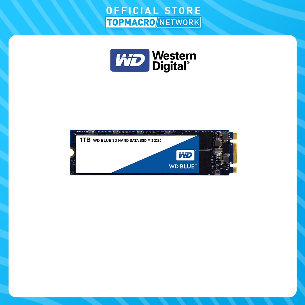 WD CSSD BLUE 3D NAND 1TB M.2 | Shopee Malaysia