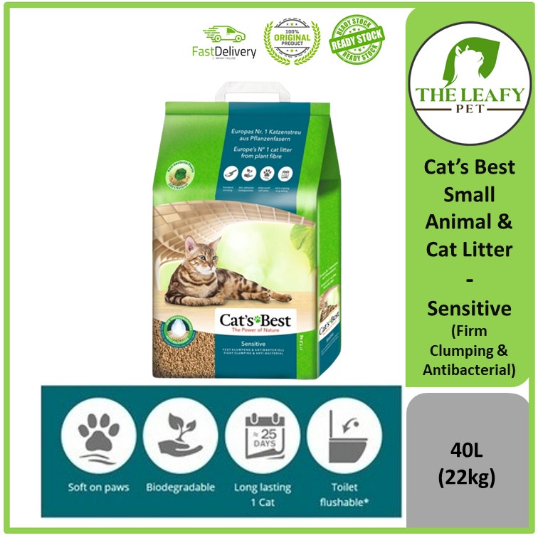 Best cat litter for sensitive clearance cats