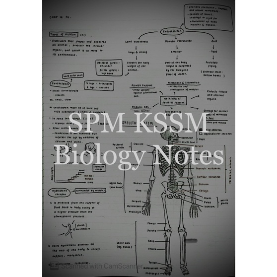 SPM Notes KSSM Biology (English) [simple & easy] | Shopee Malaysia