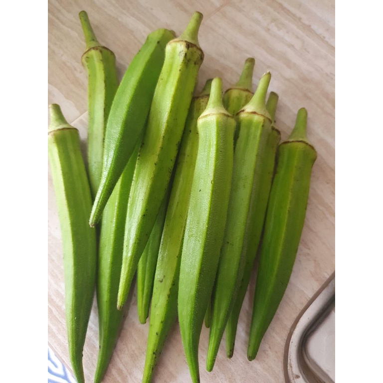 Segar Dari Ladang. Kacang Bendi segar Sayur bendi Okra Superfood anti