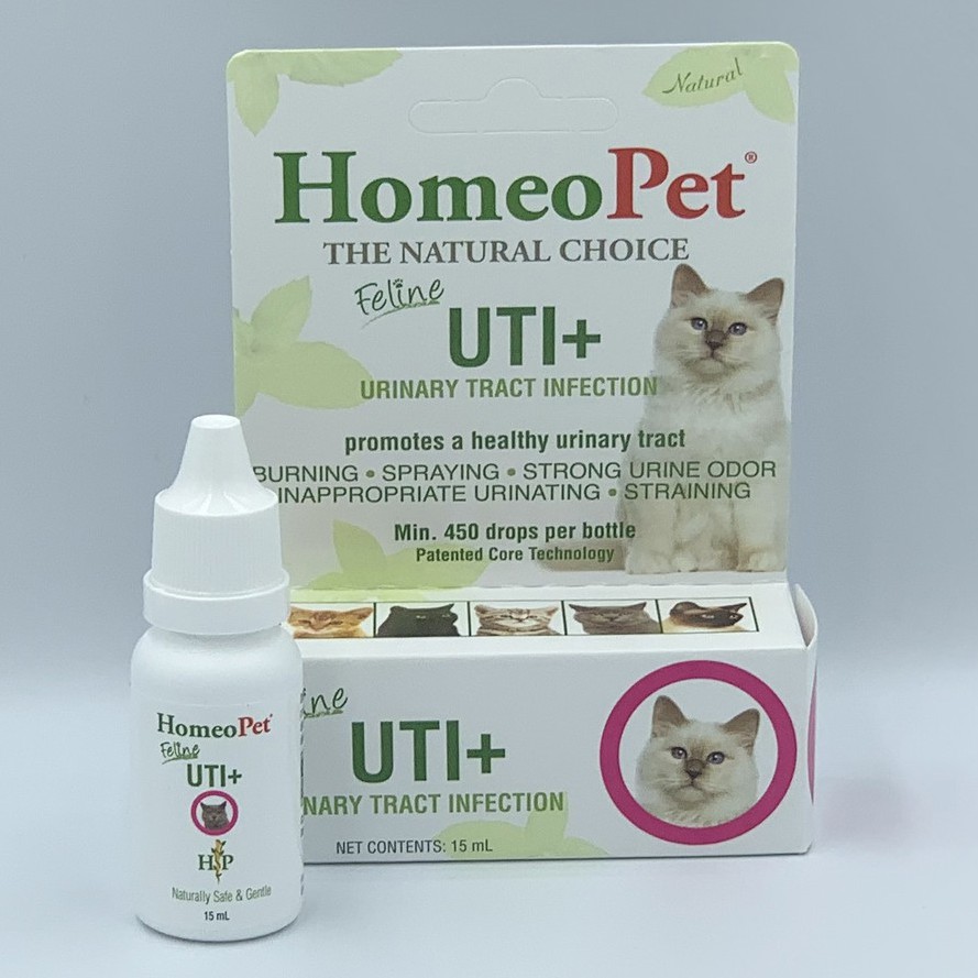 HomeoPet Feline UTI+ for Urinary Health and Urinary Tract Infections in ...