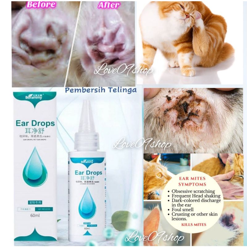 Borammy ear Drops Cat Dog Clear Dirty ear mites Shopee Malaysia