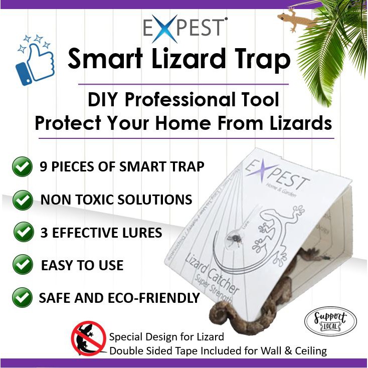 Lizard Glue Trap EN-167 | Poison-free | Effective | 3 PC PACK