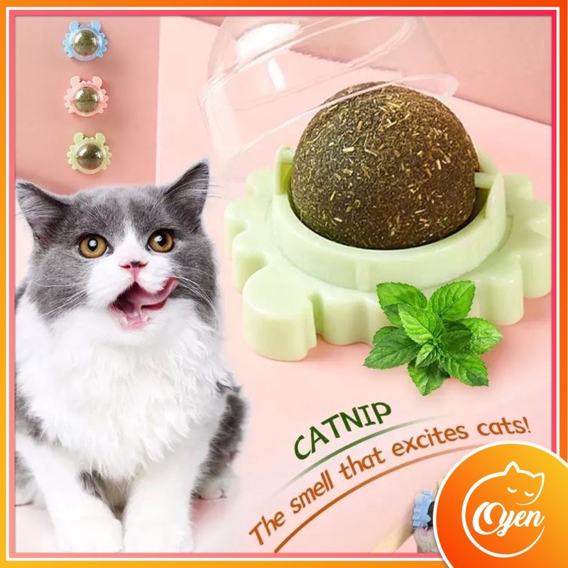 Catnip balls best sale for cats