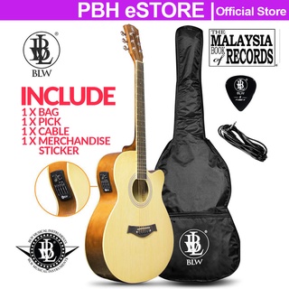 Blw on sale guitar company